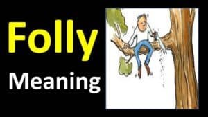 folly meaning in hindi