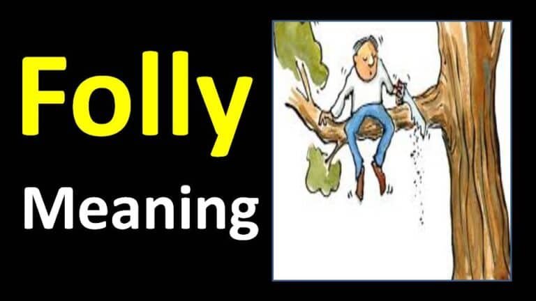 Folly Meaning In Hindi Lack Of Good Sense Foolishness Suresh Digital