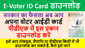 New System Voter ID