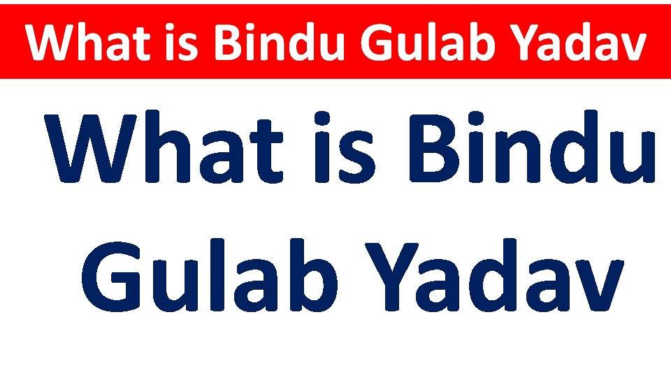 What is Bindu Gulab
