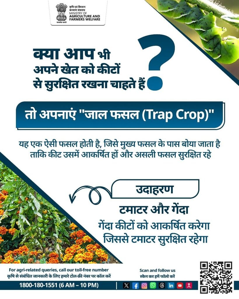 Jal Fasal Trap Crop