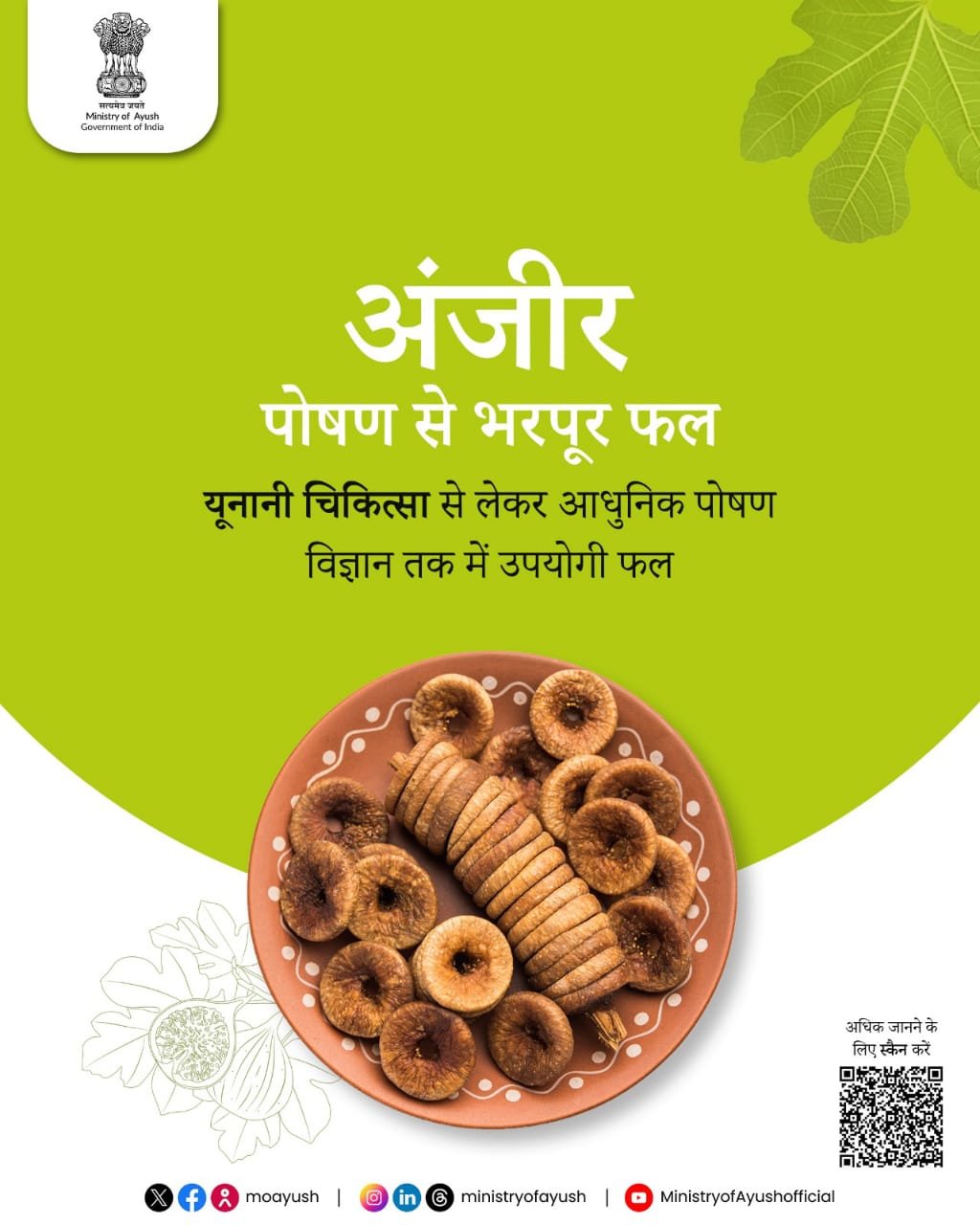 डॉक्टर भी मानते हैं अंजीर को सुपरफ्रूट – जानिए क्यों! 1