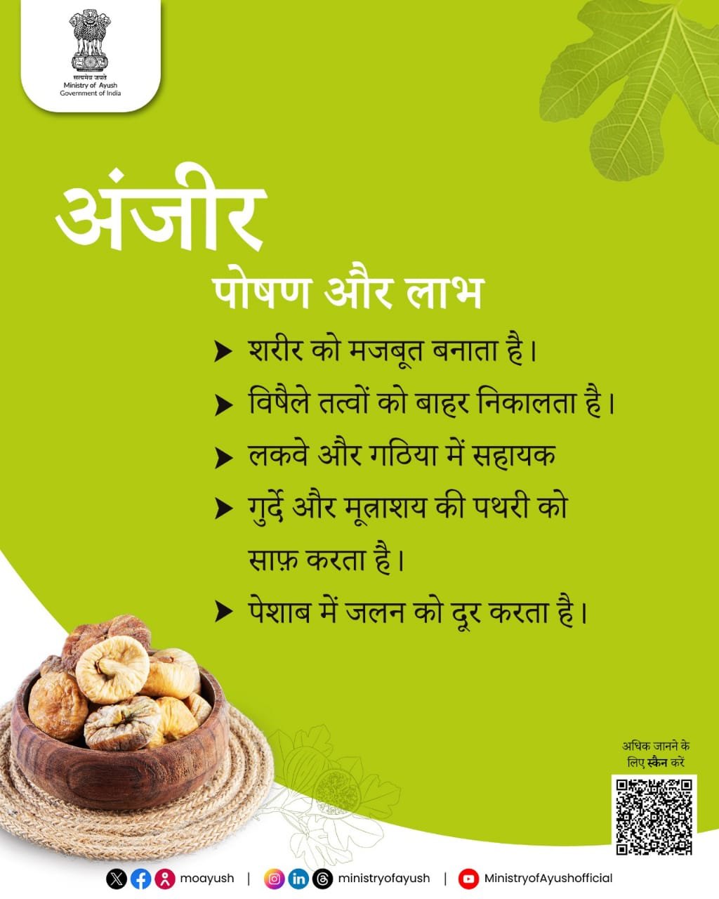 डॉक्टर भी मानते हैं अंजीर को सुपरफ्रूट – जानिए क्यों! 2