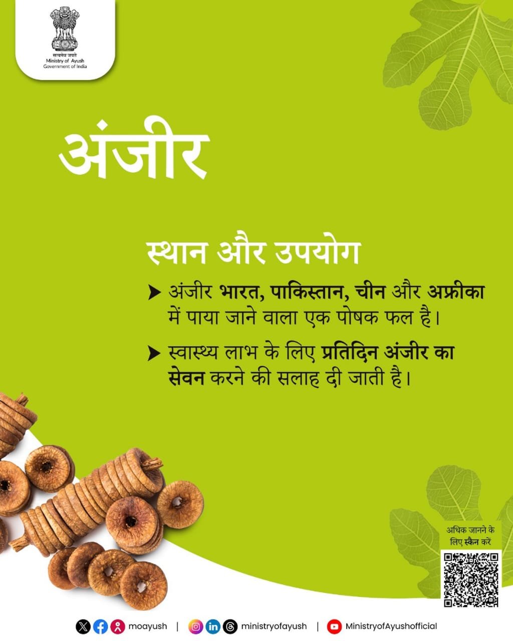डॉक्टर भी मानते हैं अंजीर को सुपरफ्रूट – जानिए क्यों! 3