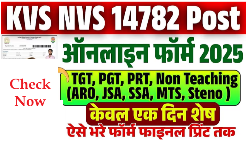 KVS NVS Form Kaise